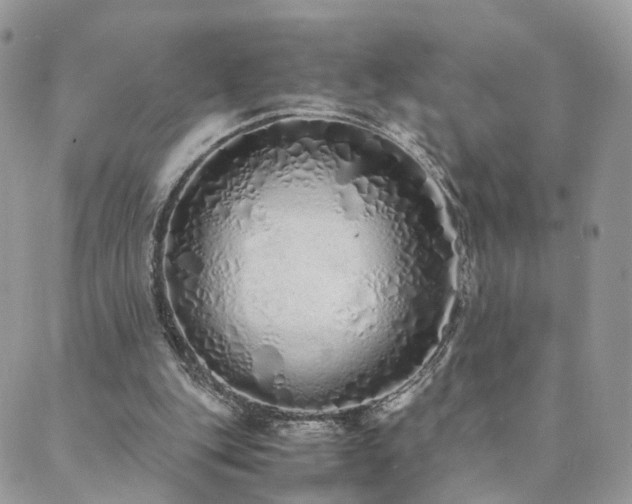 X0000089930151200706291206