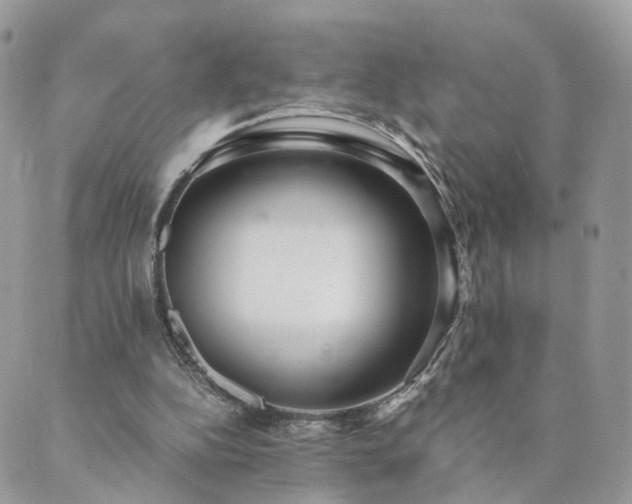 X0000089930152200706291206