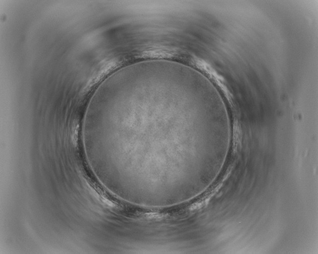 X0000089930153200706291206