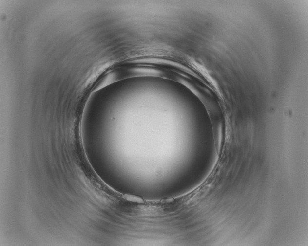 X0000089930154200706291206