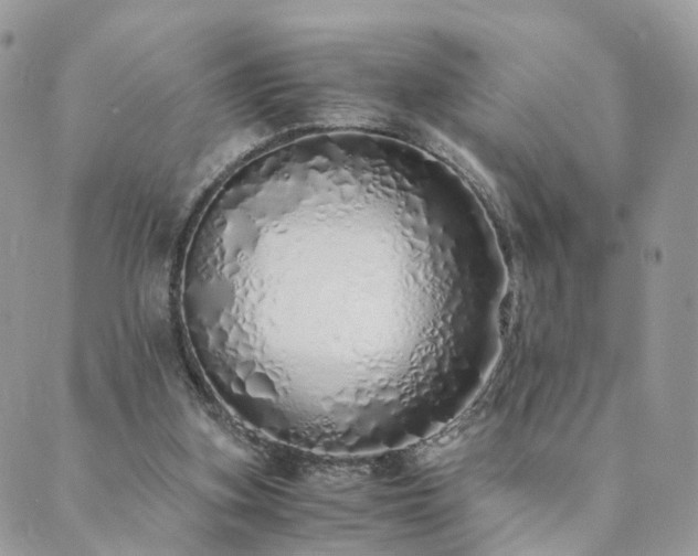 X0000089930155200706291206