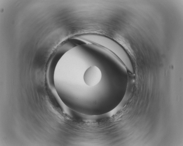 X0000089930156200706291206