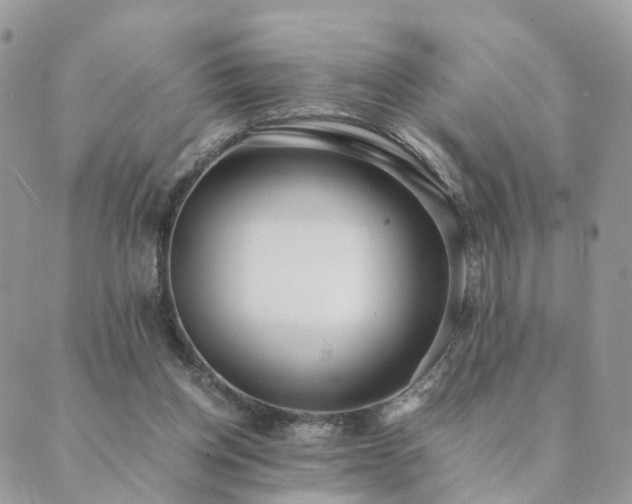 X0000089930158200706291206