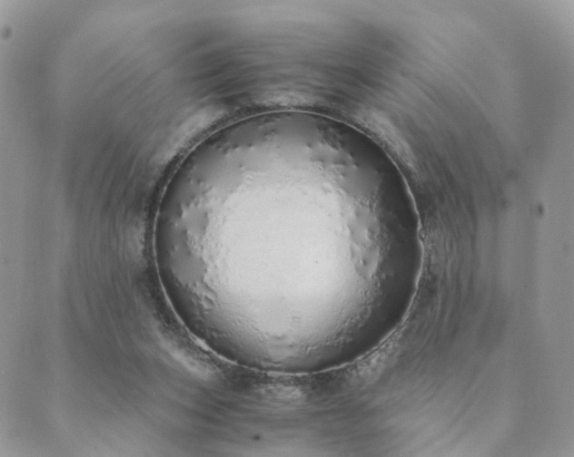 X0000089930159200706291206