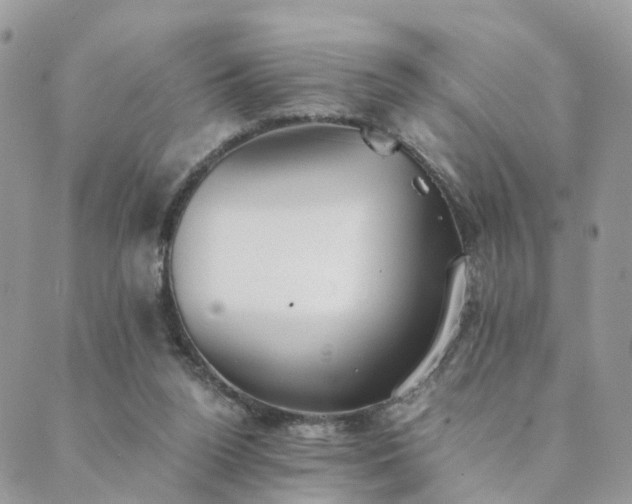 X0000089930160200706291206