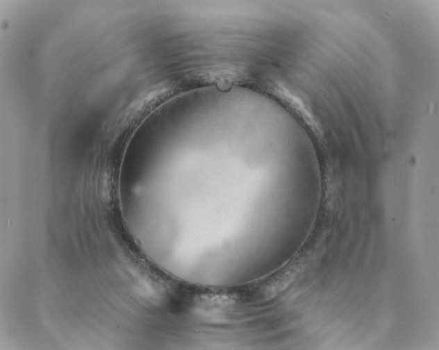 X0000089930161200706291206