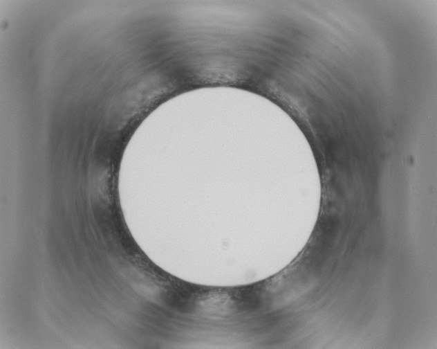 X0000089930162200706291206