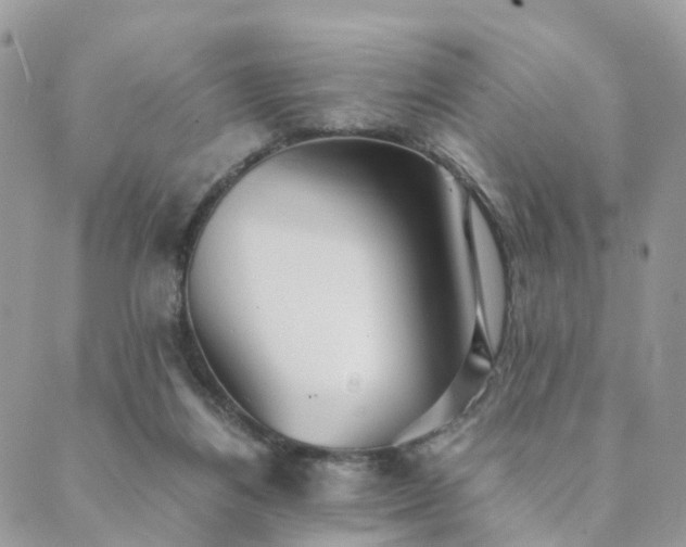 X0000089930164200706291206