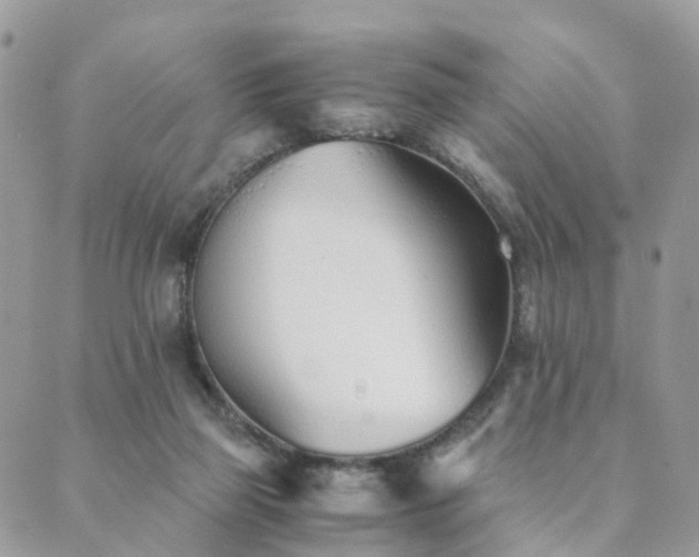 X0000089930165200706291206