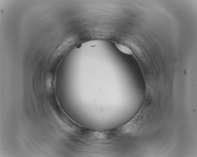 X0000089930166200706291206