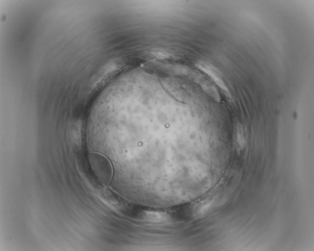 X0000089930167200706291206