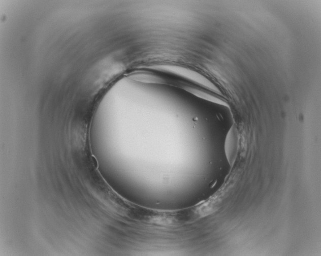 X0000089930168200706291206