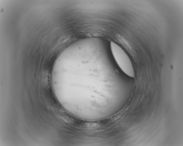 X0000089930169200706291206