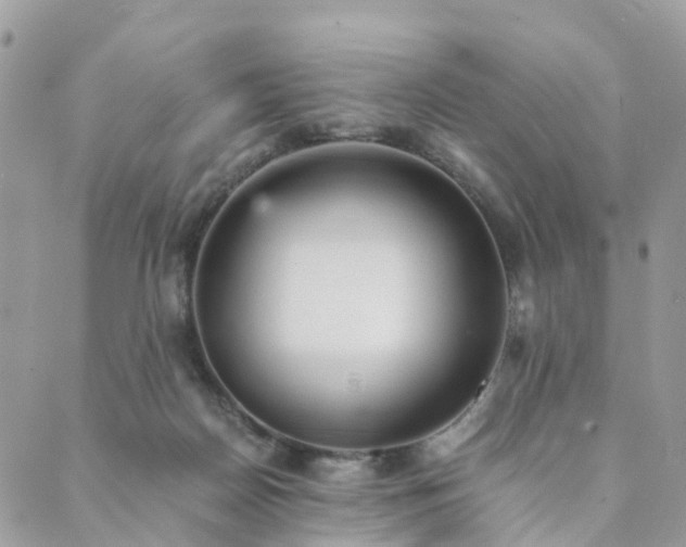 X0000089930170200706291206