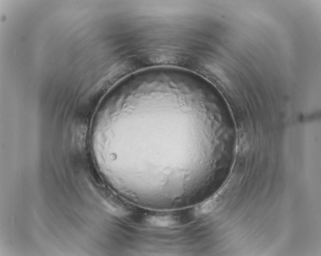 X0000089930171200706291206