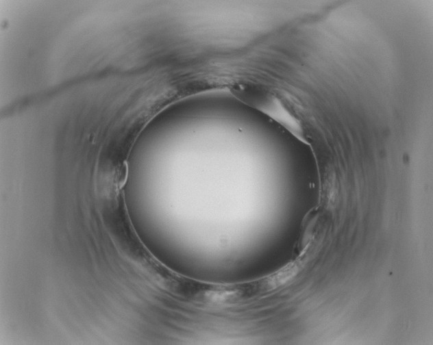 X0000089930172200706291206