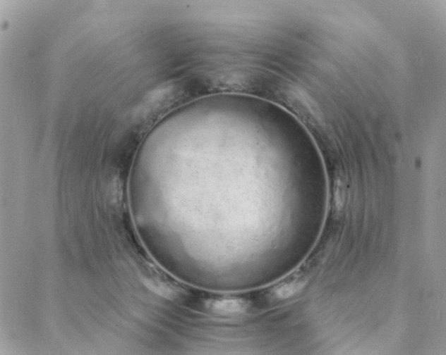 X0000089930173200706291206