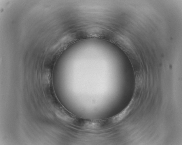 X0000089930174200706291206