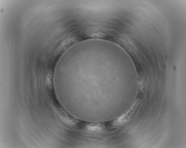 X0000089930175200706291206