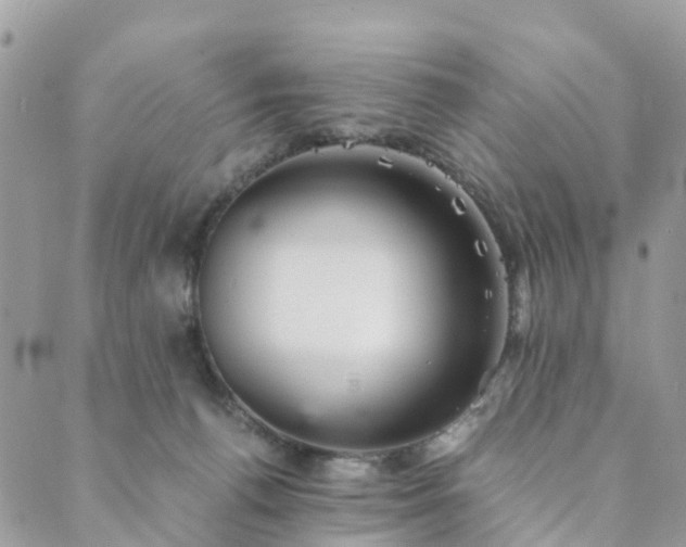 X0000089930176200706291207