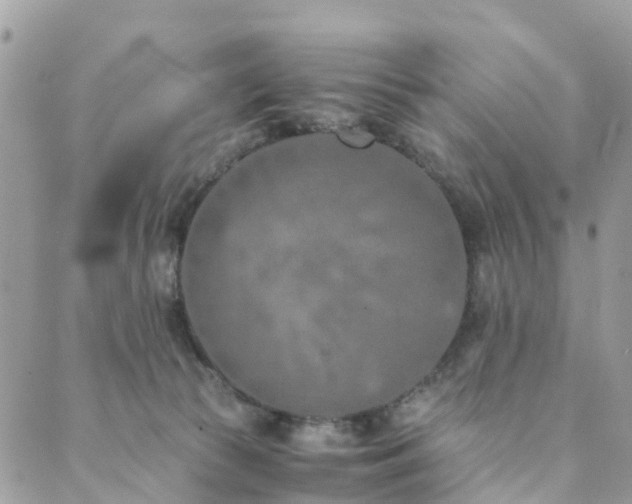 X0000089930177200706291207