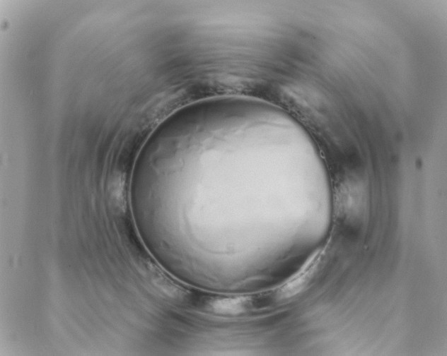 X0000089930178200706291207