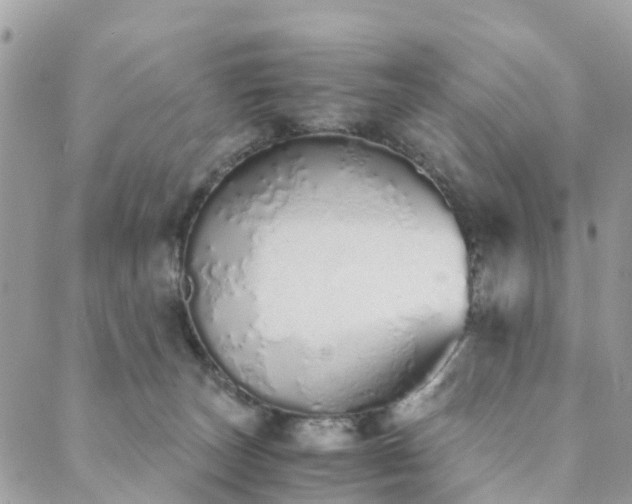 X0000089930179200706291207