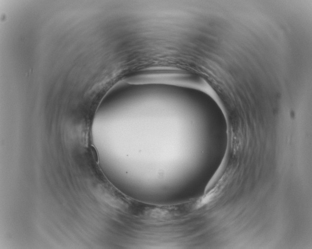 X0000089930180200706291207