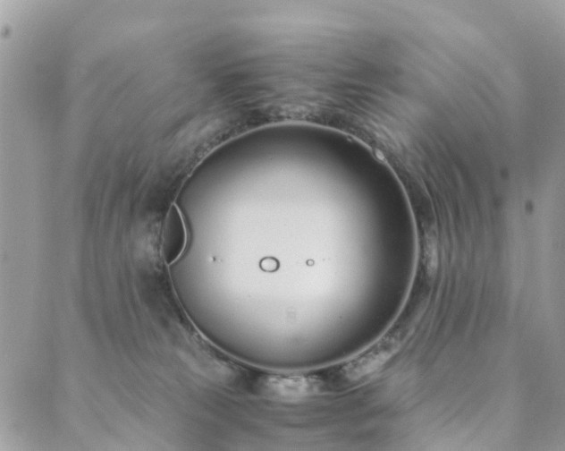 X0000089930181200706291207