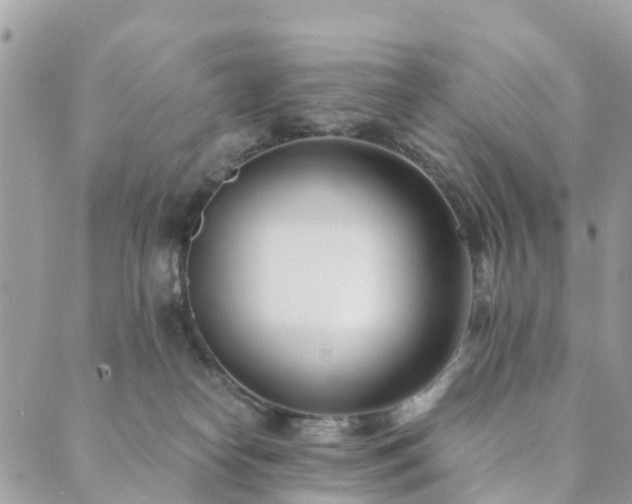 X0000089930182200706291207