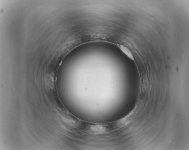 X0000089930183200706291207