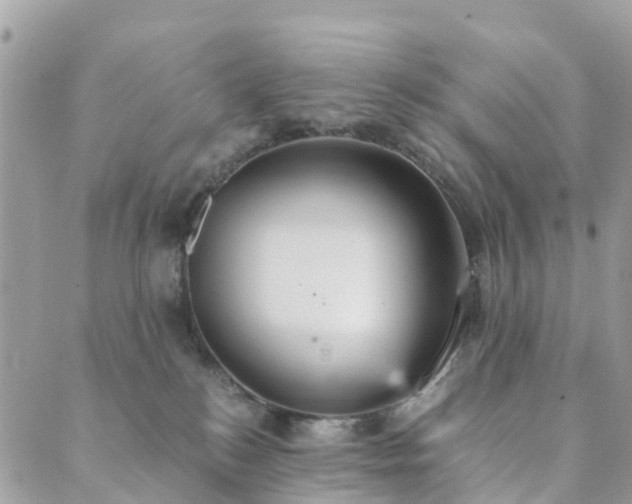 X0000089930184200706291207