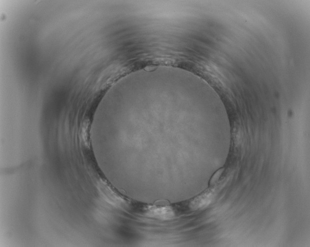 X0000089930185200706291207