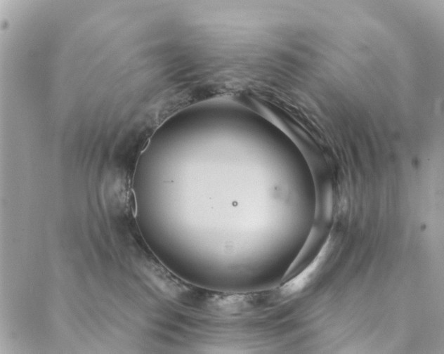 X0000089930186200706291207