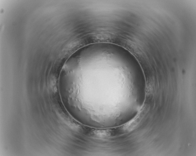 X0000089930187200706291207