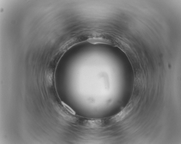 X0000089930188200706291207