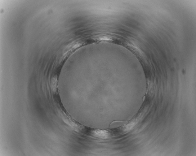 X0000089930189200706291207