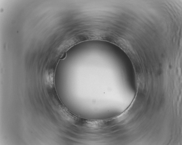 X0000089930190200706291207