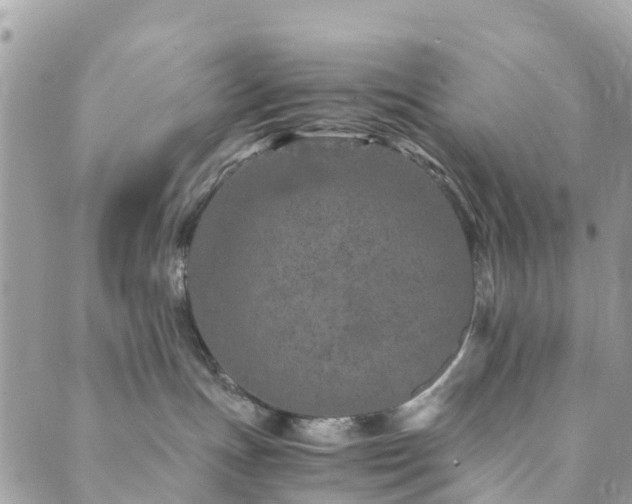 X0000089930191200706291207