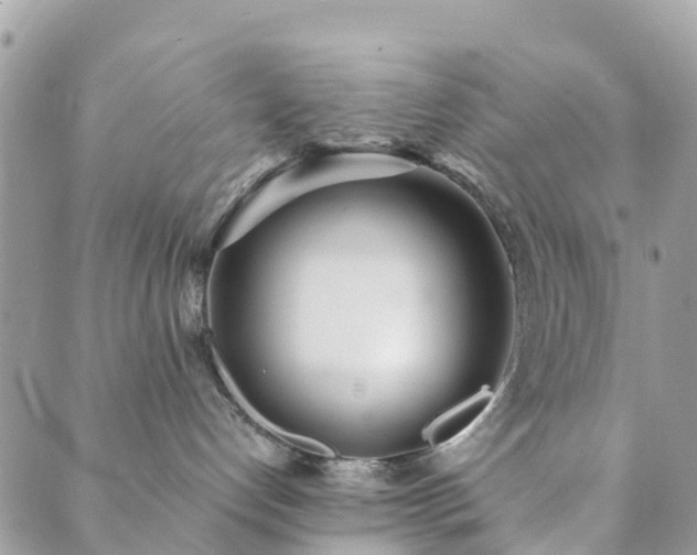 X0000089930192200706291207