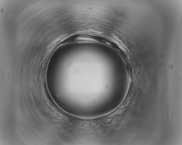 X0000089930193200706291206