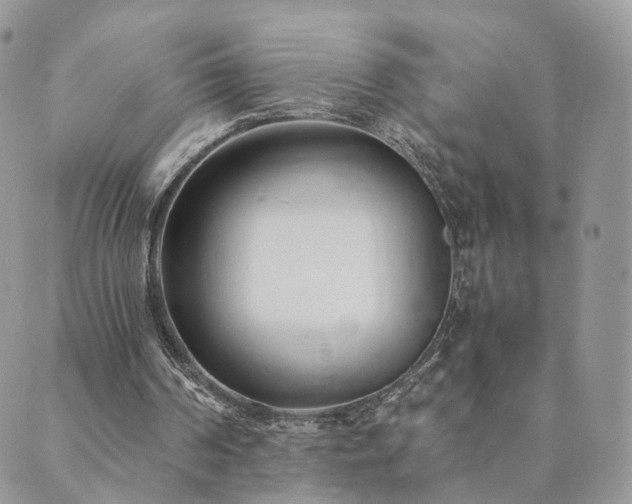 X0000089930194200706291206