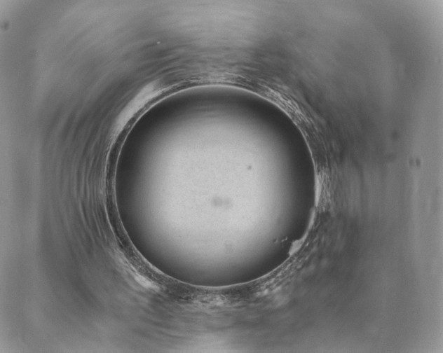 X0000089930195200706291206