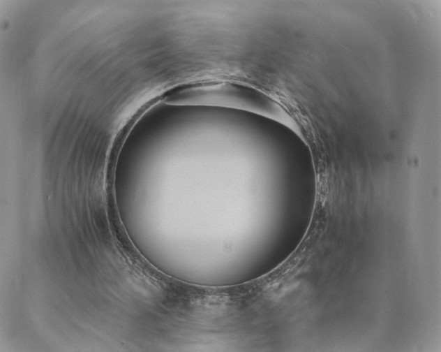 X0000089930196200706291206