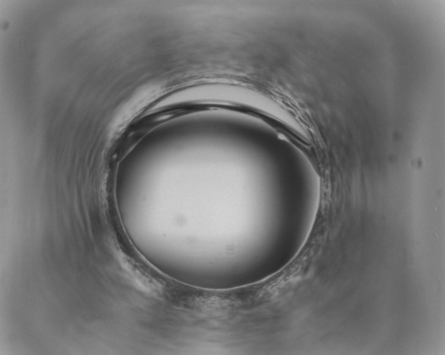 X0000089930197200706291206