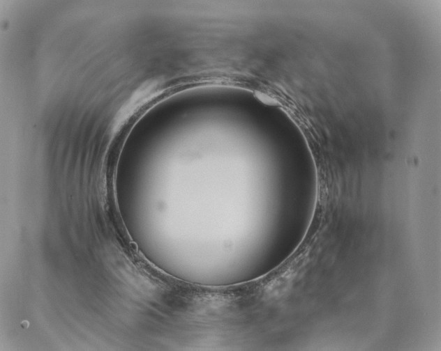 X0000089930198200706291206