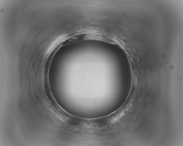 X0000089930199200706291206