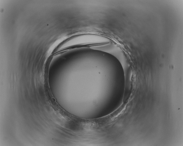 X0000089930200200706291206