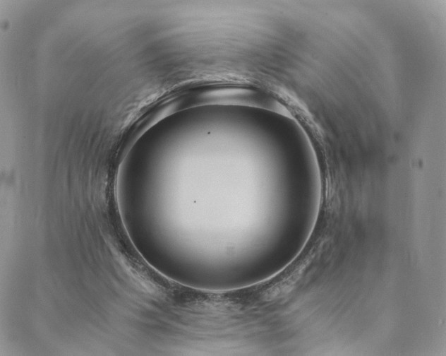 X0000089930201200706291206