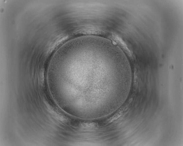 X0000089930202200706291206